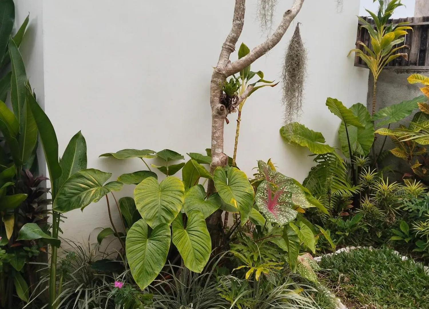 Pondok Loji Luxury Villa Ubud 0*,