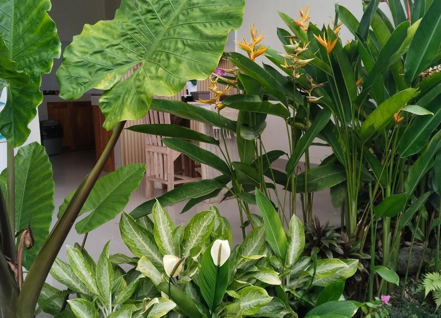 Pondok Loji Luxury Villa Ubud  0*, Ubud (Bali)